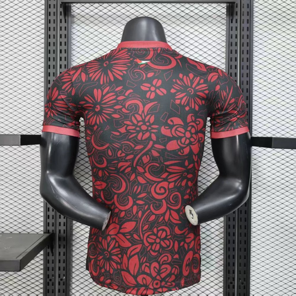 Palestine Concept Red Player Version 25/26