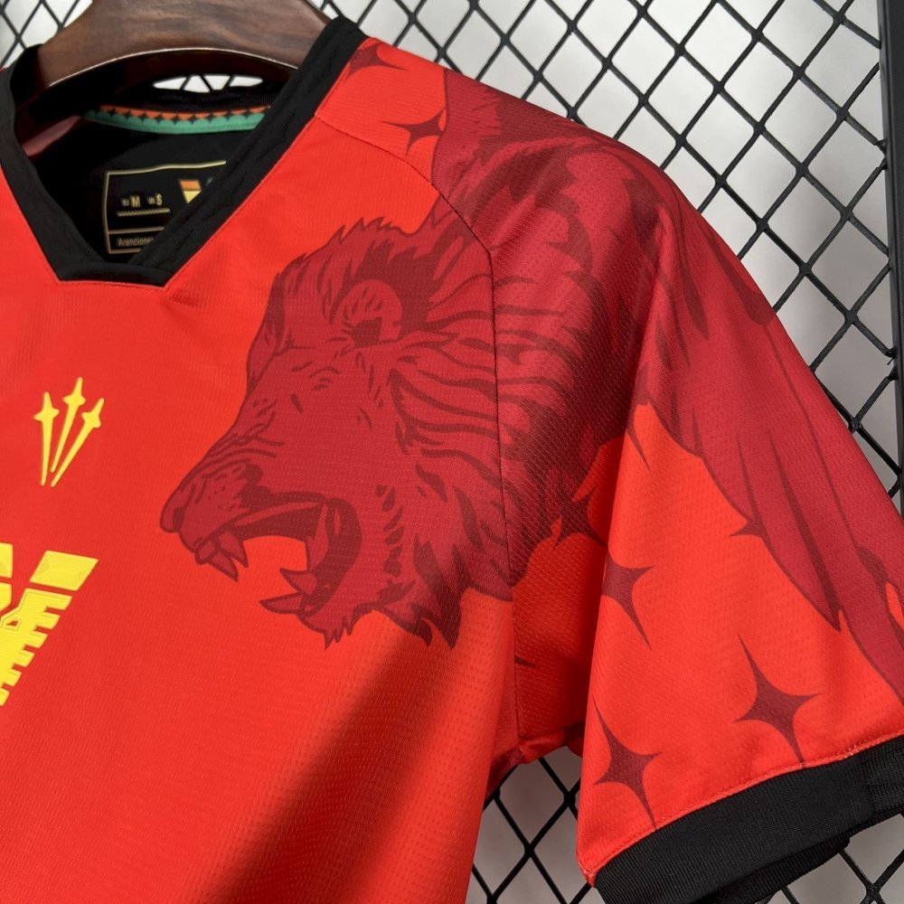 Venezia FC Concept 25/26