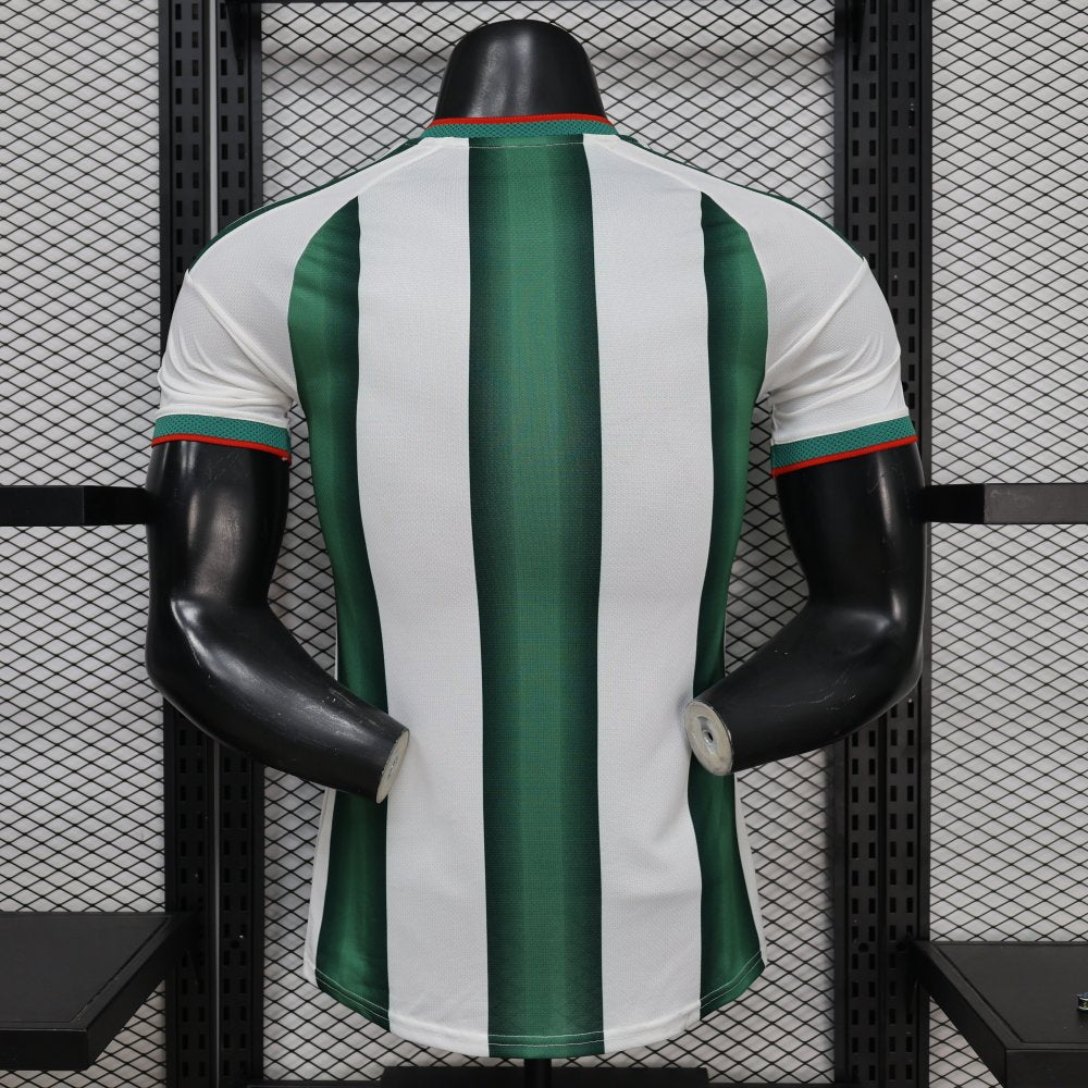 Mexique Concept Player Version 25/26